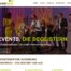 Wordpress Betreuung Wartung Support